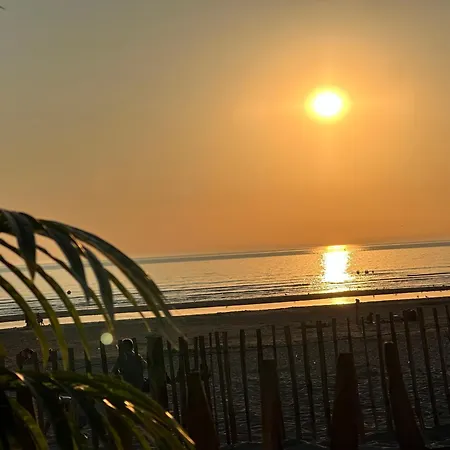 Un Petit Coin De Paradis * Fort-Mahon-Plage